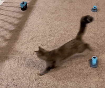 Active Engagement