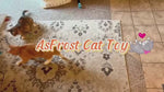 Video thumbnail 14