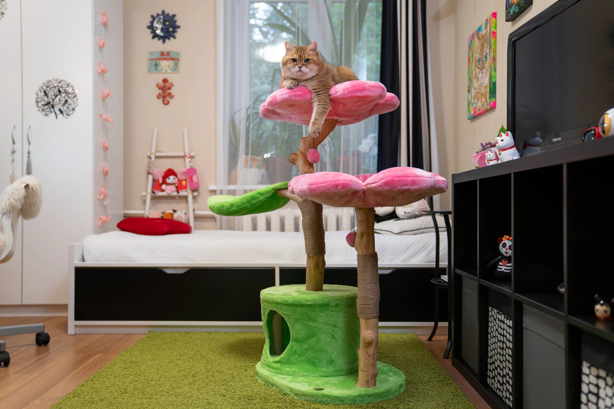 Room with cat enjoying flower tree